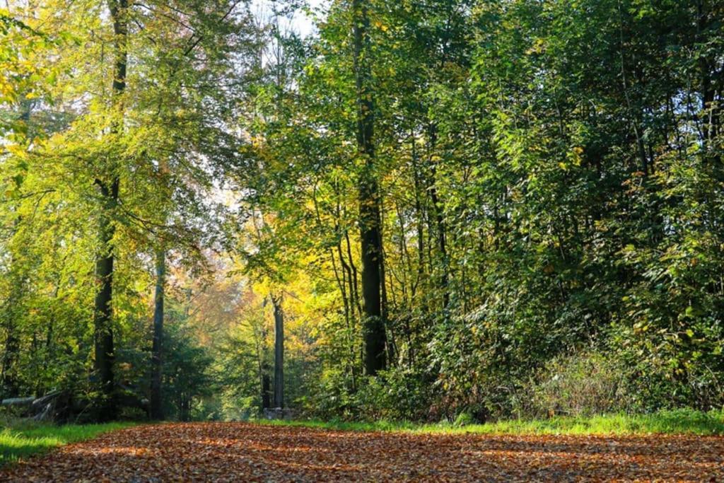 Assendrupgaard Vejle Daire Dış mekan fotoğraf